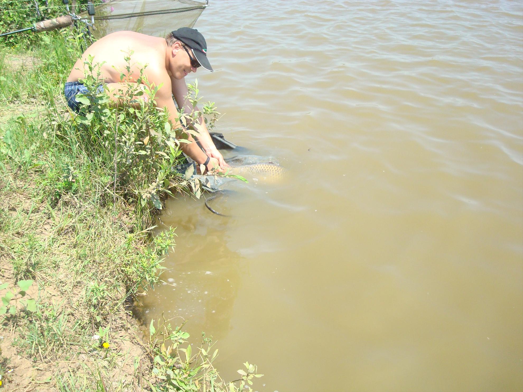 balta de la Topolavatul Mare - dsc06202.JPG